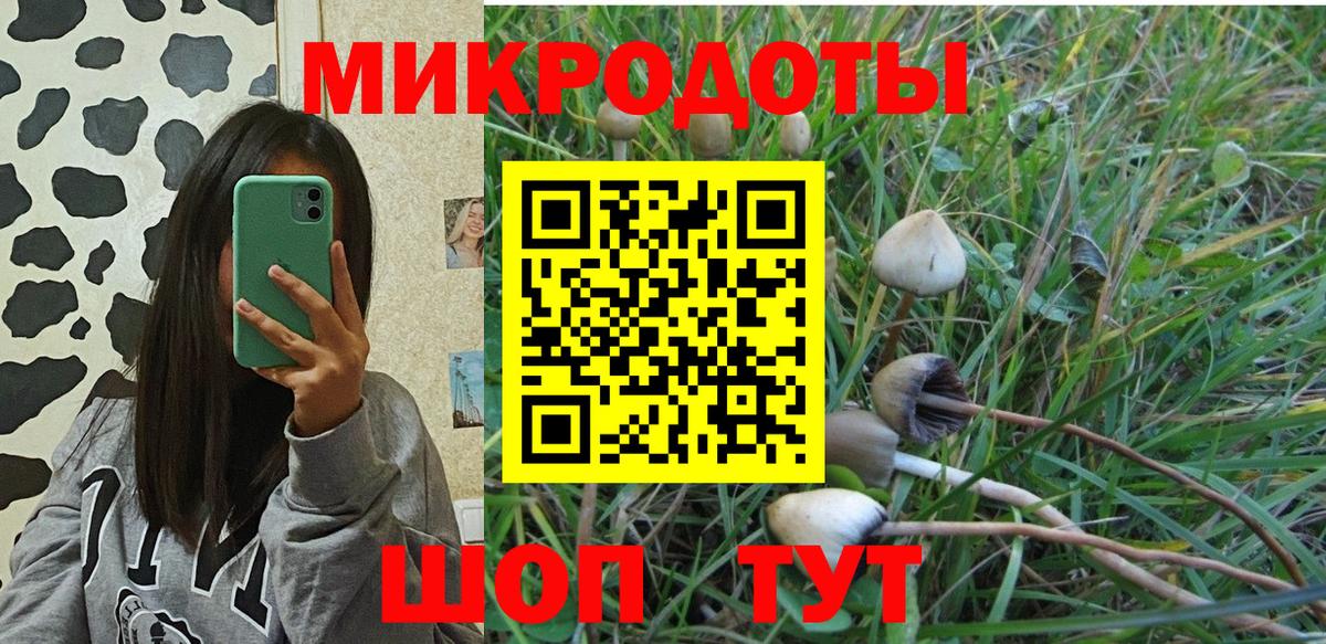 Конаково  Галлюциногенные грибы прущие грибы  Вход с VPN 