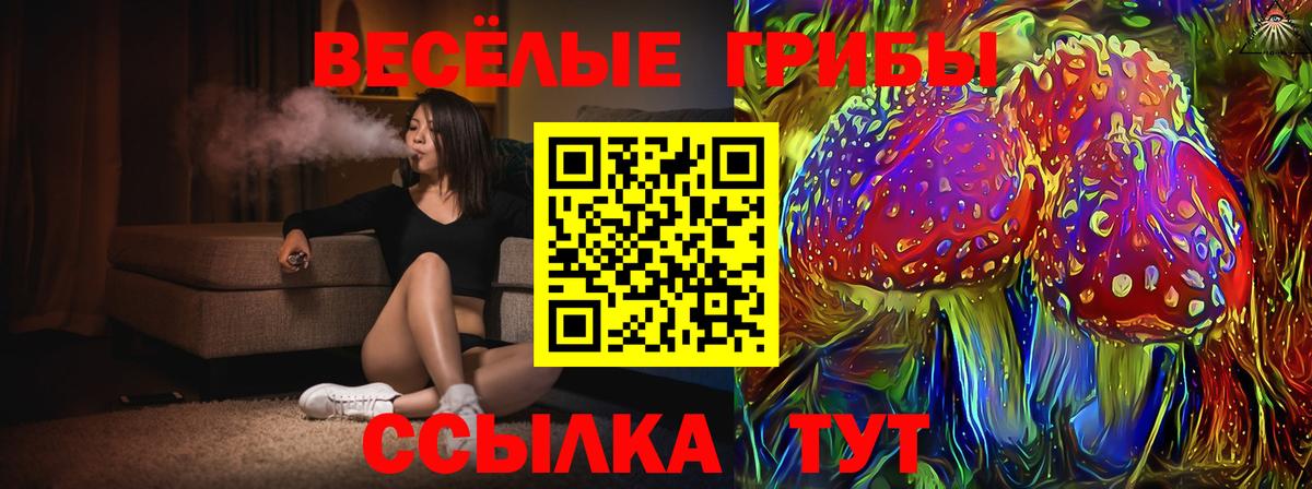 Псилоцибиновые грибы прущие грибы Конаково